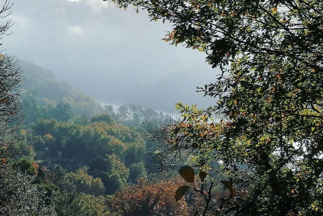 Gerês - Refúgio das Laranjeiras Extérieur photo